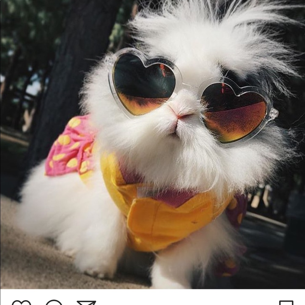 Meet your Posher, Nancy